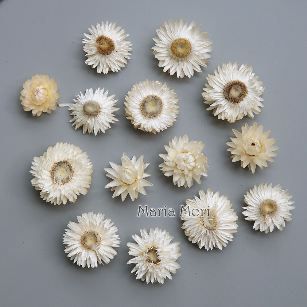 Candle Making Uk - Natural Dried Colorful Chrysanthemum Wreath Handmade