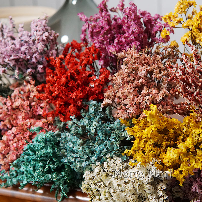 5g/ Colorful Dired Preserved C - огляд і ціна Candle Making Uk